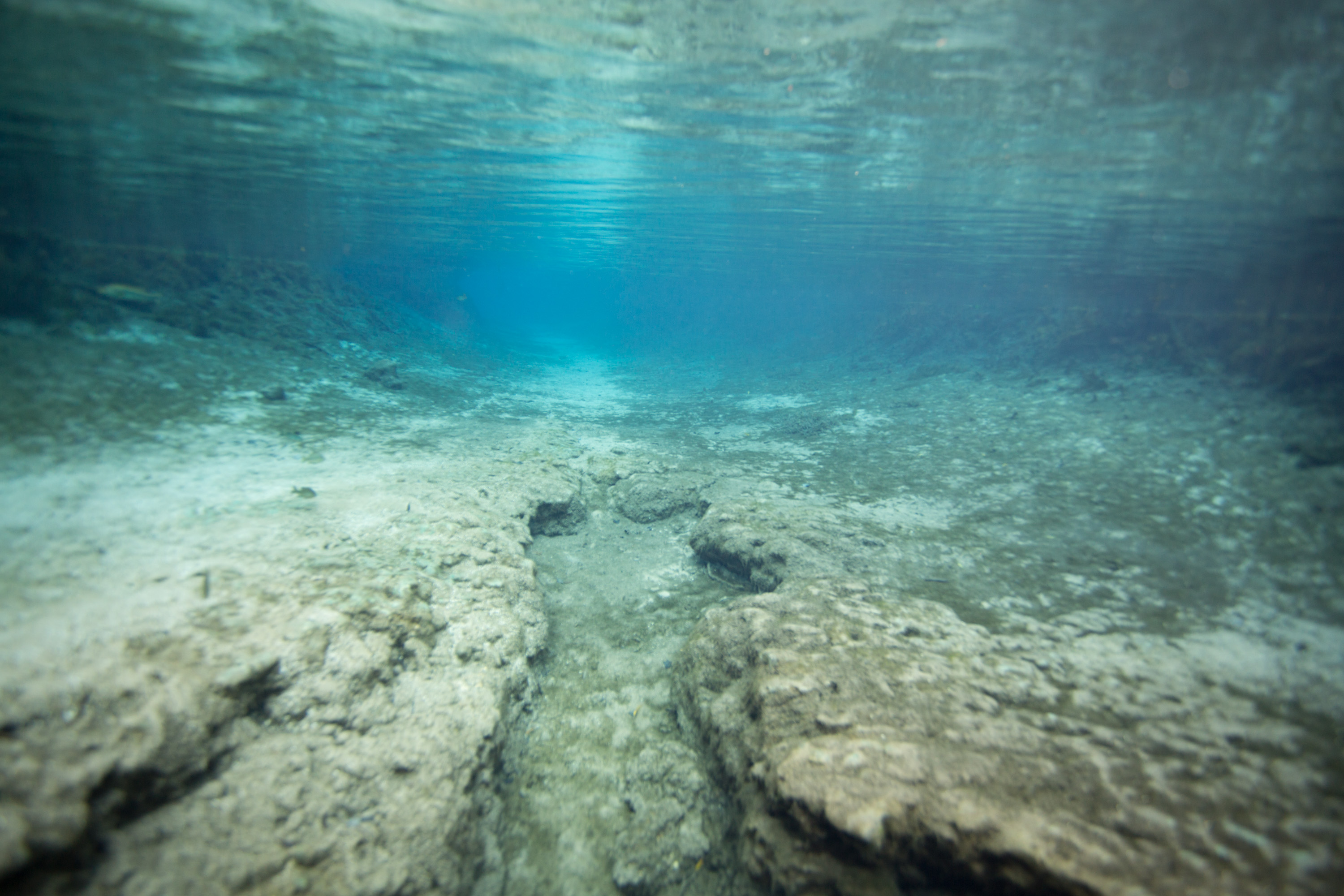 FL Springs - Caverns/Cave image